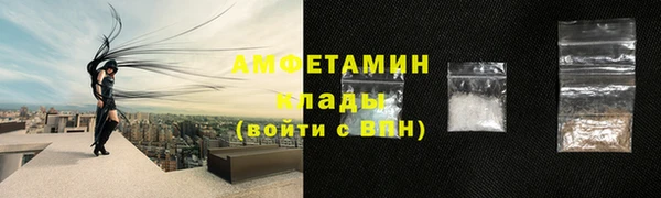 шишки Балахна