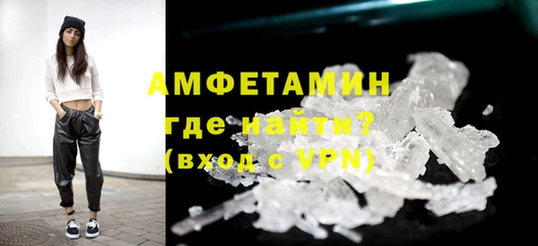 гидра Няндома