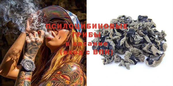 шишки Балахна