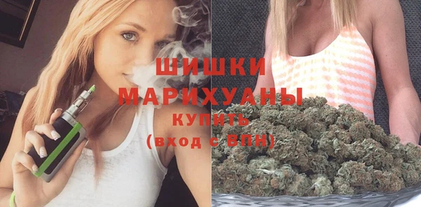 шишки Балахна