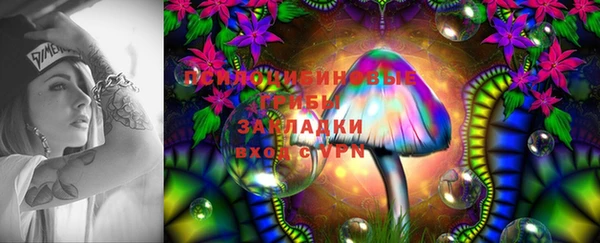 шишки Балахна