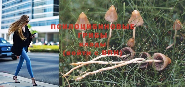 шишки Балахна