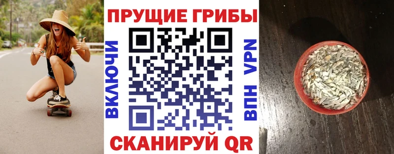 Галлюциногенные грибы Psilocybe darknet как зайти Сегежа